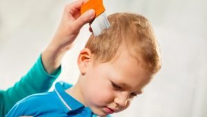 Head lice treatment