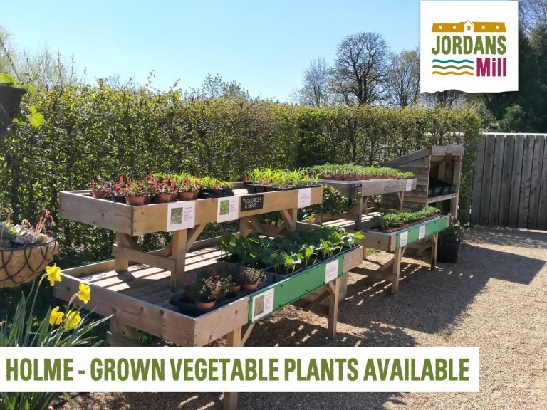 Jordans Mill 2 179130521 5442907099085324 5010347270174625901 n 1 768x576