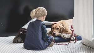 Two children and their first pet - A dog, a Golden retriever an image for our article Choosing a first pet for your child