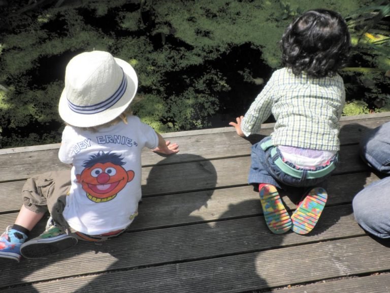 Kentish Town City Farm 2 kentish town city farm london 1 768x576